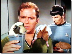 Verizon FiOS TV's problems are like tribbles