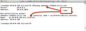 Voila! Your names instead of Amazon's for internal VPC resolution