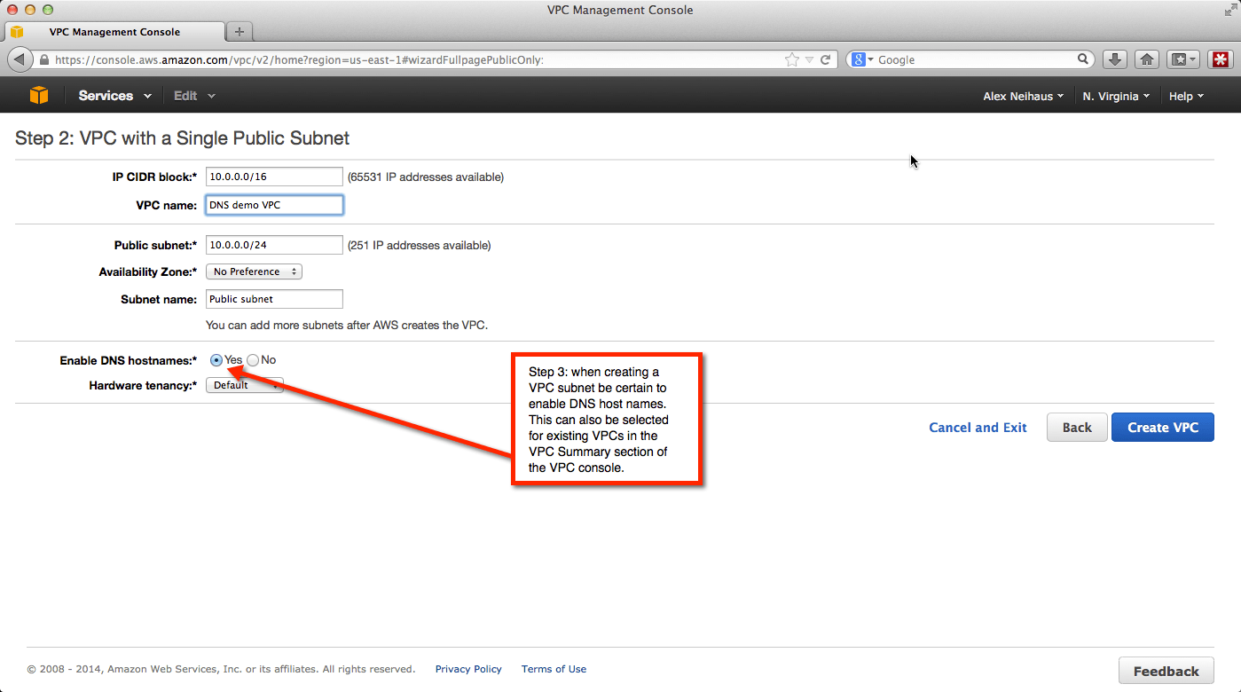 Thinking aloud How to set up AWS DNS in a VPC