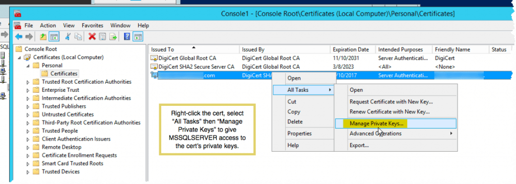 Thinking aloud | How to install SQL Server and SSRS SSL certificates