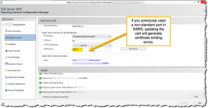 SSRS using TLS (SSL) certificates
