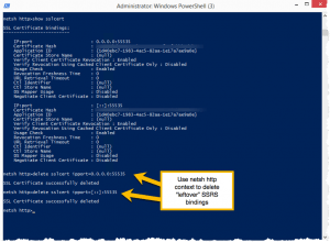 Use netsh to delete certificate bindings